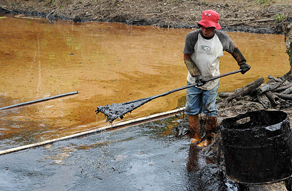 EL PETROLEO EN LA SELVA el petroleo en la selva: