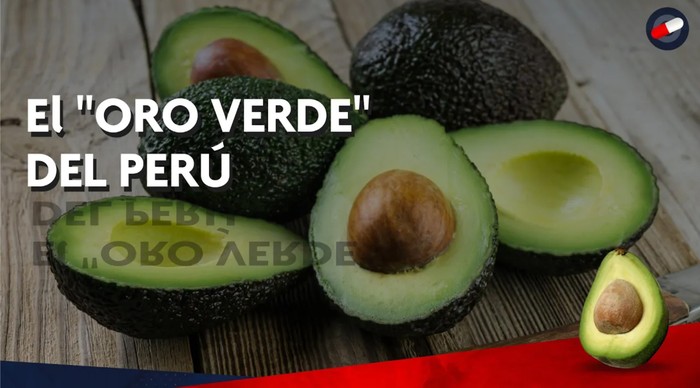 Noticia El Oro Verde Del Per