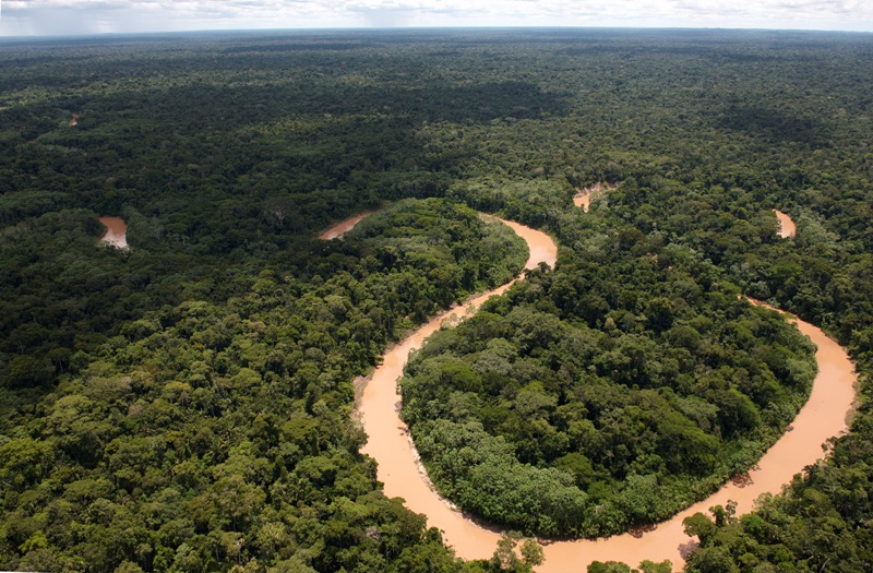 [Video] Brasil: Parque Nacional Sierra del Divisor en Perú permitiría unir esfuerzos contra amenazas