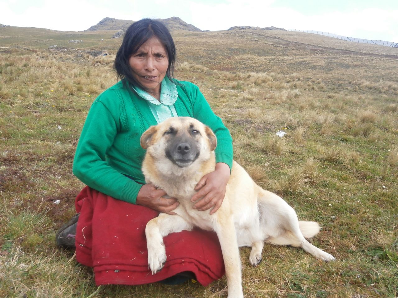 Trabajadores de Minera Yanacocha dejan ciega y coja a Mascota de Máxima Acuña