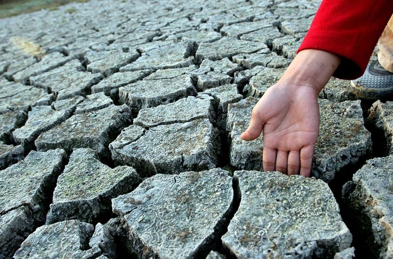 ¿Cómo van las contribuciones peruanas para enfrentar el cambio climático?