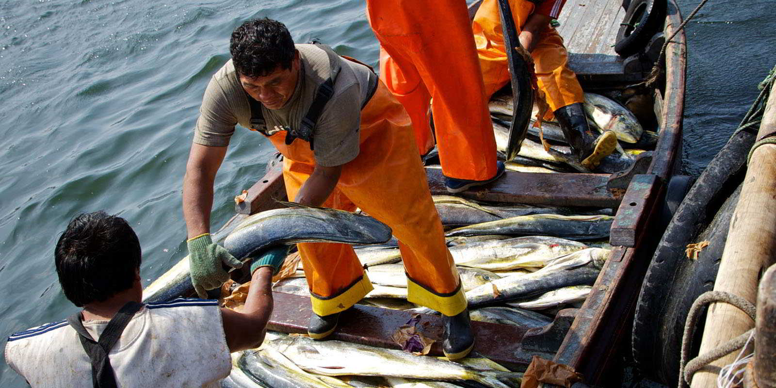 Enfen eleva previsión de magnitud de El Niño de débil a moderado