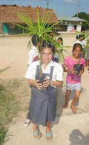 Campaña educativa de reforestación en Loreto