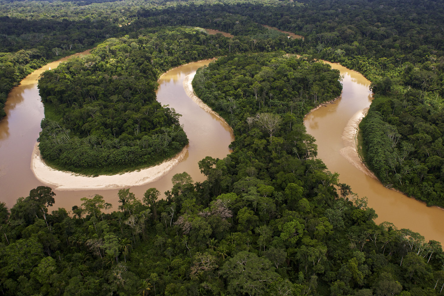 Protejamos a nuestra Sierra del Divisor