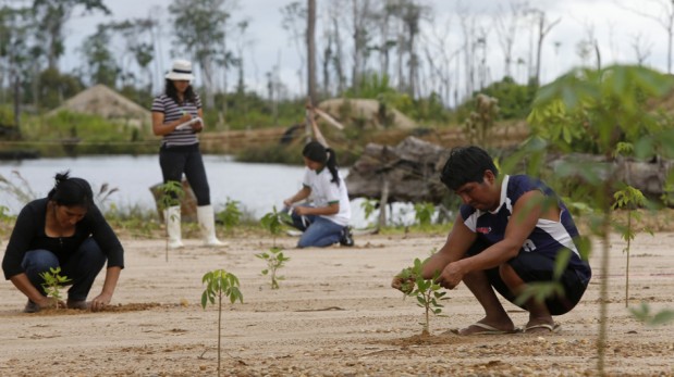 Madre de Dios: mineros artesanales de La Pampa reconocen daño ambiental y trabajan en reforestación