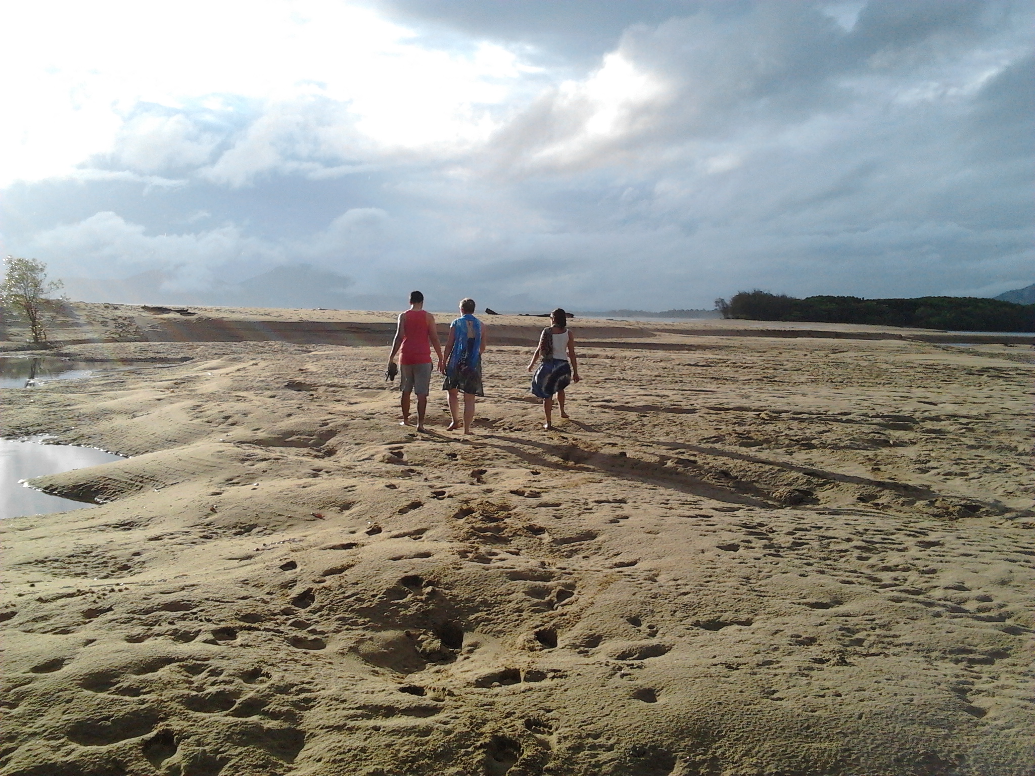 El bosque entre la tierra firme y el mar