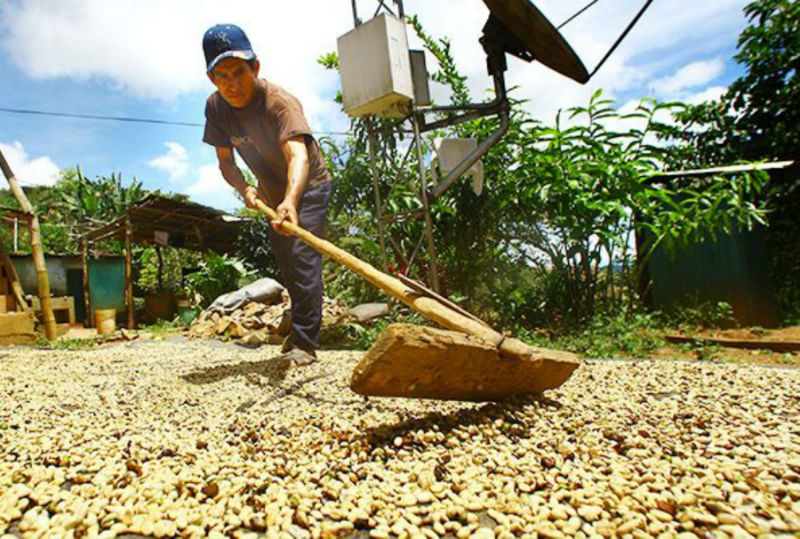 El campeón de la pobreza y el hortelano