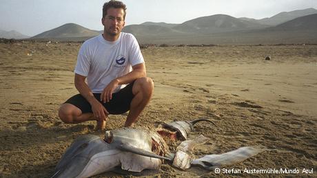 Perú: Amenazan a biólogo que denunció matanza de delfines