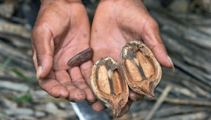 Adaptación al cambio climático en comunidades locales de Bolivia