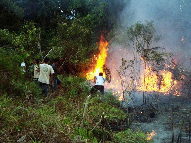 Extinguen incendio en selva de Moyobamba que dejó un muerto y quemó 200 hectáreas