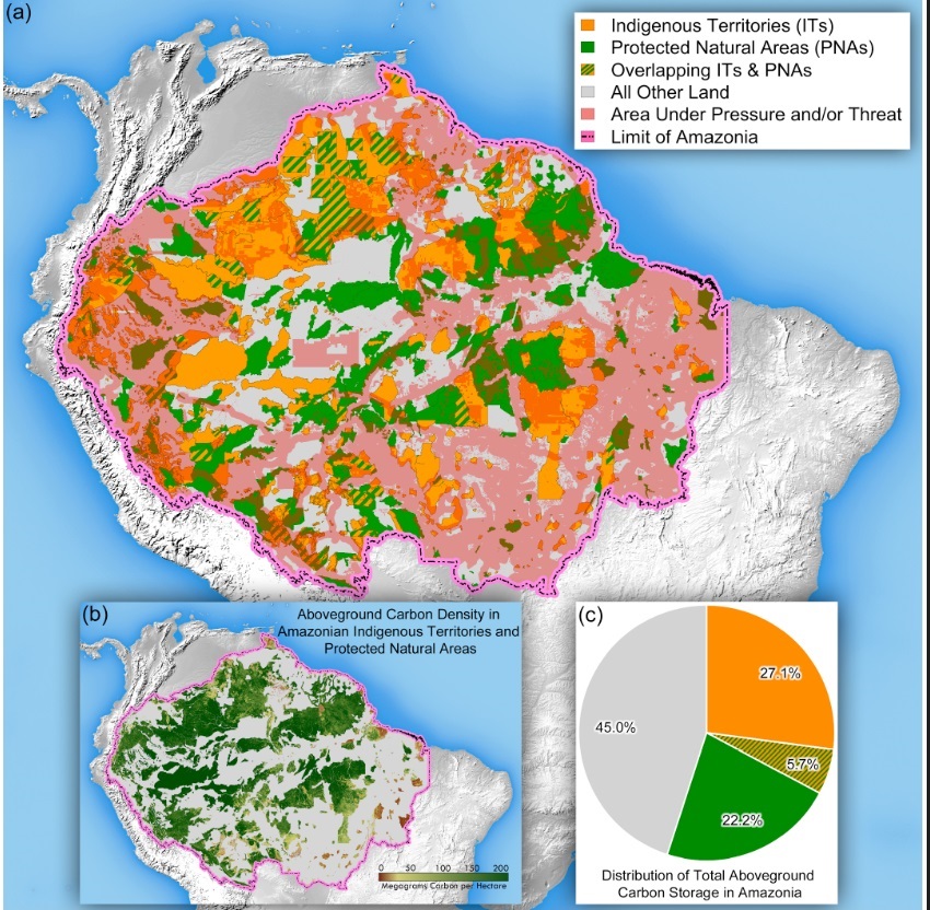 En riesgo el  55% del carbono contenido en territorios indígenas y áreas protegidas de la Amazonía