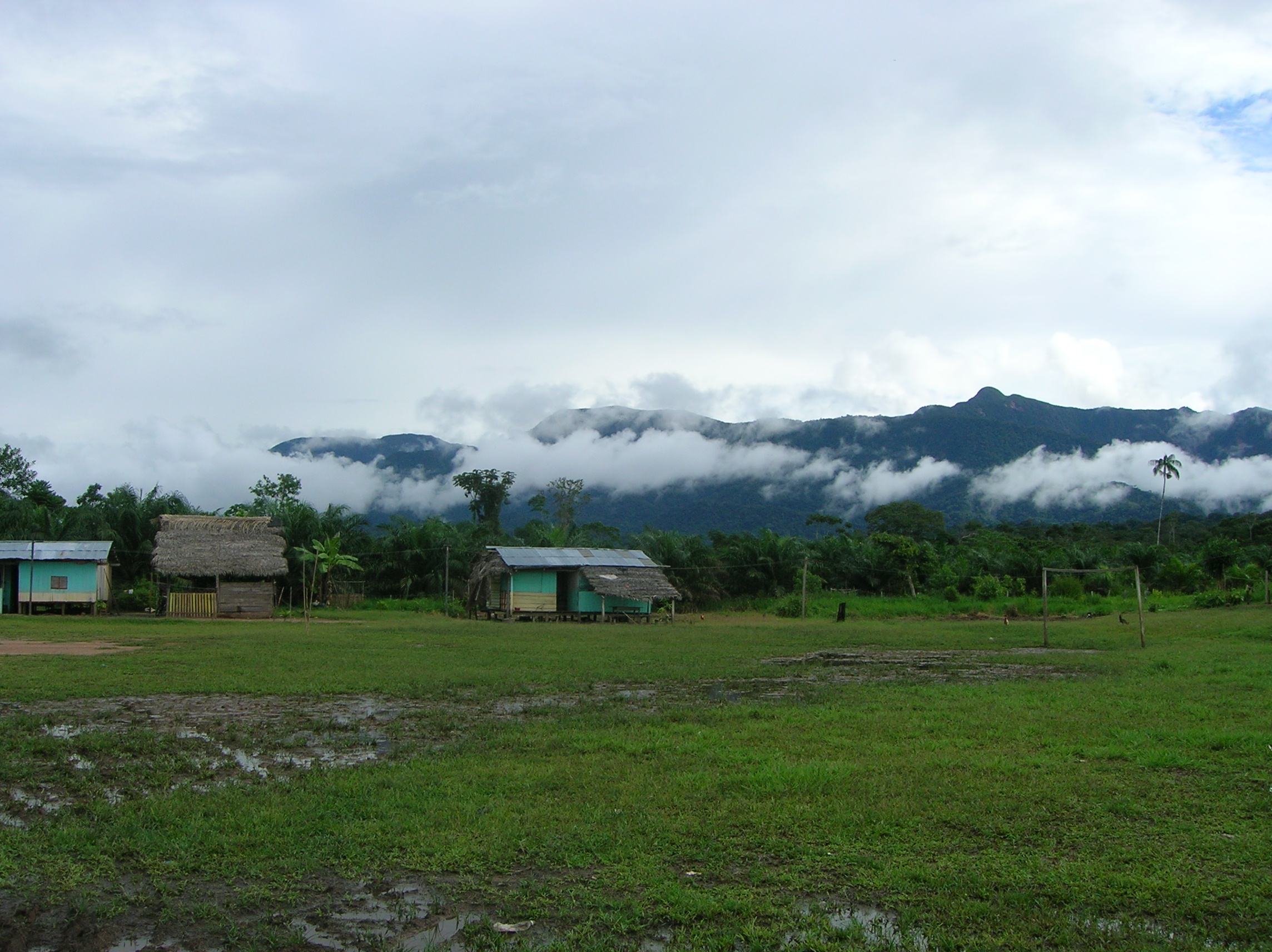 Nueva investigación revela baja deforestación en territorios indígenas de Perú