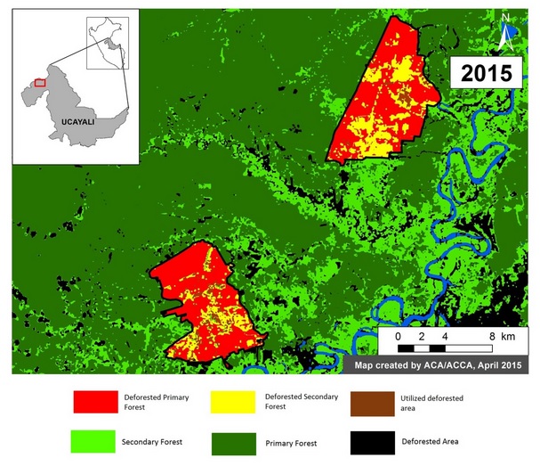 Ucayali: empresa de palma aceitera deforestó 9400 hectáreas de bosque primario entre 2010 y 2015