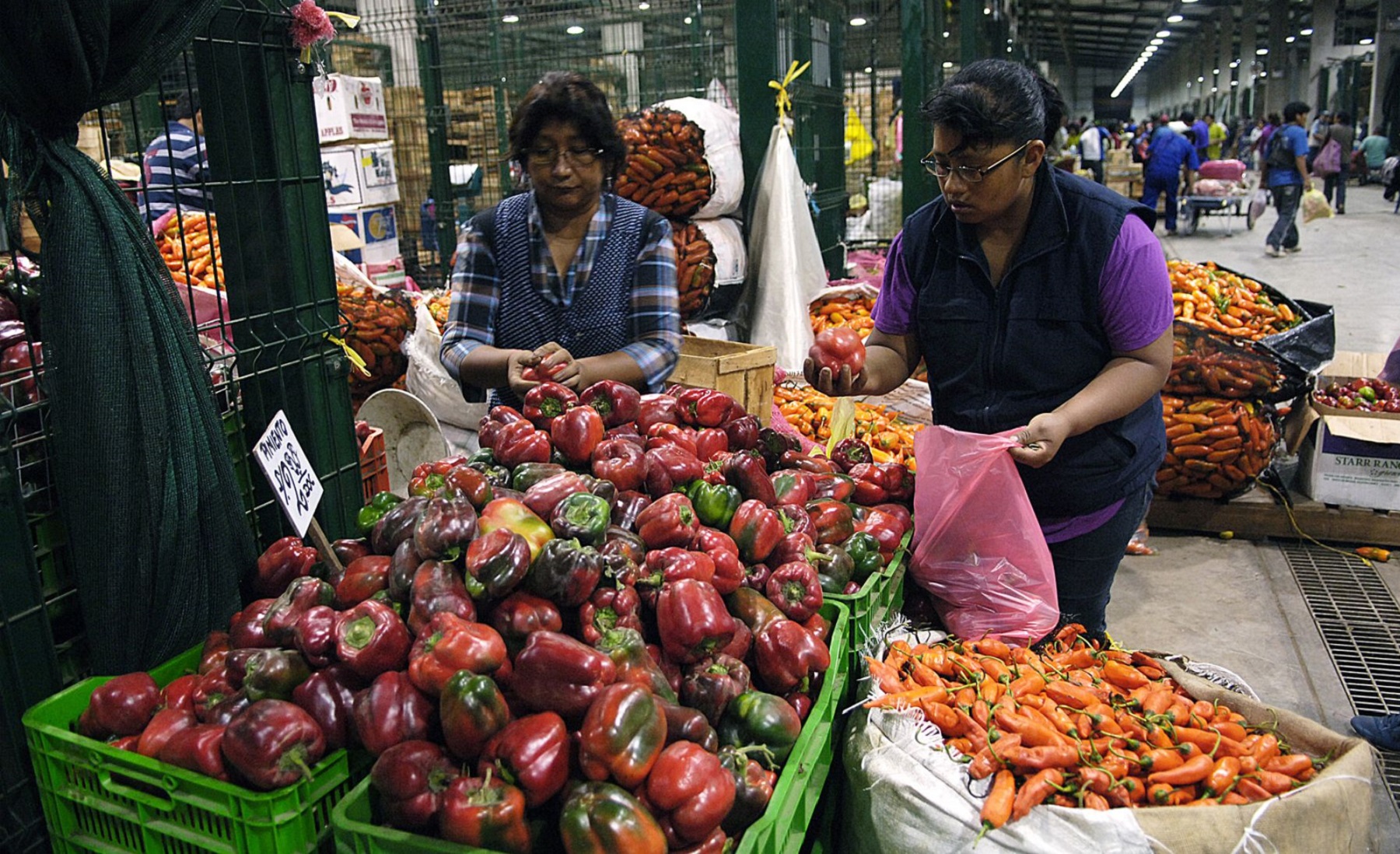 ¿Buscas alimentos a bajo precio? Esta herramienta te ayudará