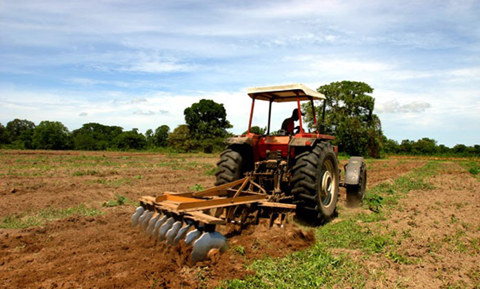 En Perú se está haciendo una reforma agraria al revés, denuncian ONG