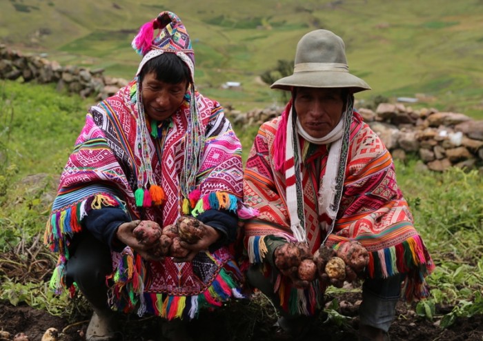 Miércoles 19: proyección de documental y exposición de fotos en cierre de proyecto sobre agrobiodiversidad