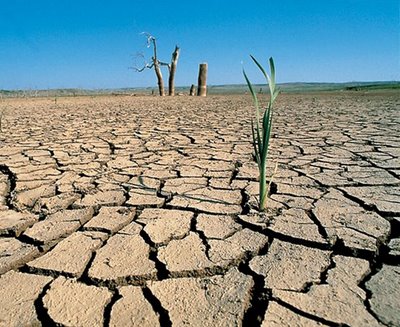 Celso Salazar: “El agua se agota para la agricultura”