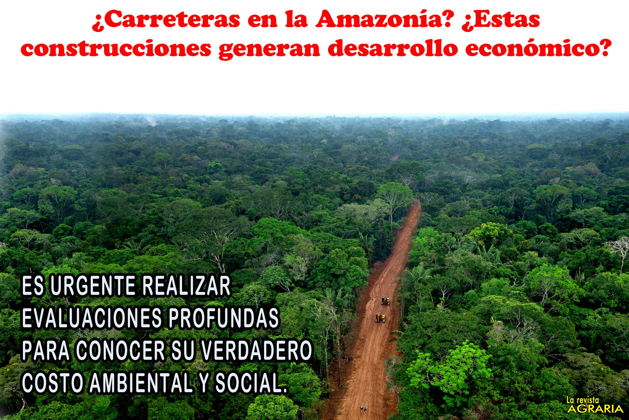 Carreteras en la Amazonía:
 un fuerte costo ambiental 
y social