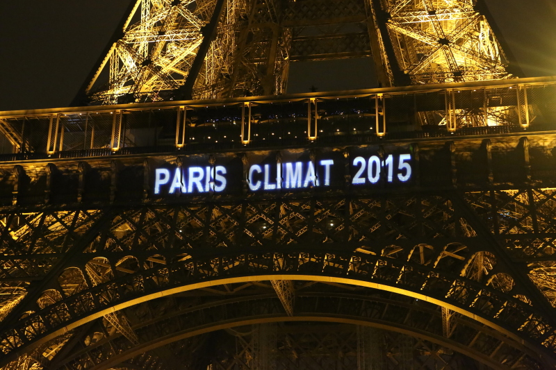 "Acuerdo alcanzado en la COP20 es débil", según organizaciones ambientalistas