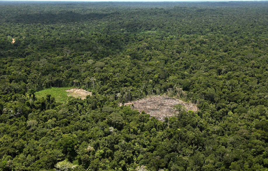 Recomiendan a países de la región firmar convenio sobre acceso a la información y participación en asuntos ambientales