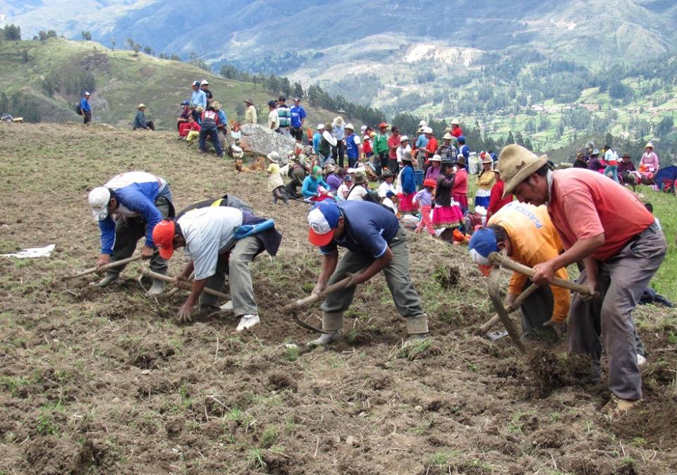 El cambio climático ya golpea a agricultores peruanos