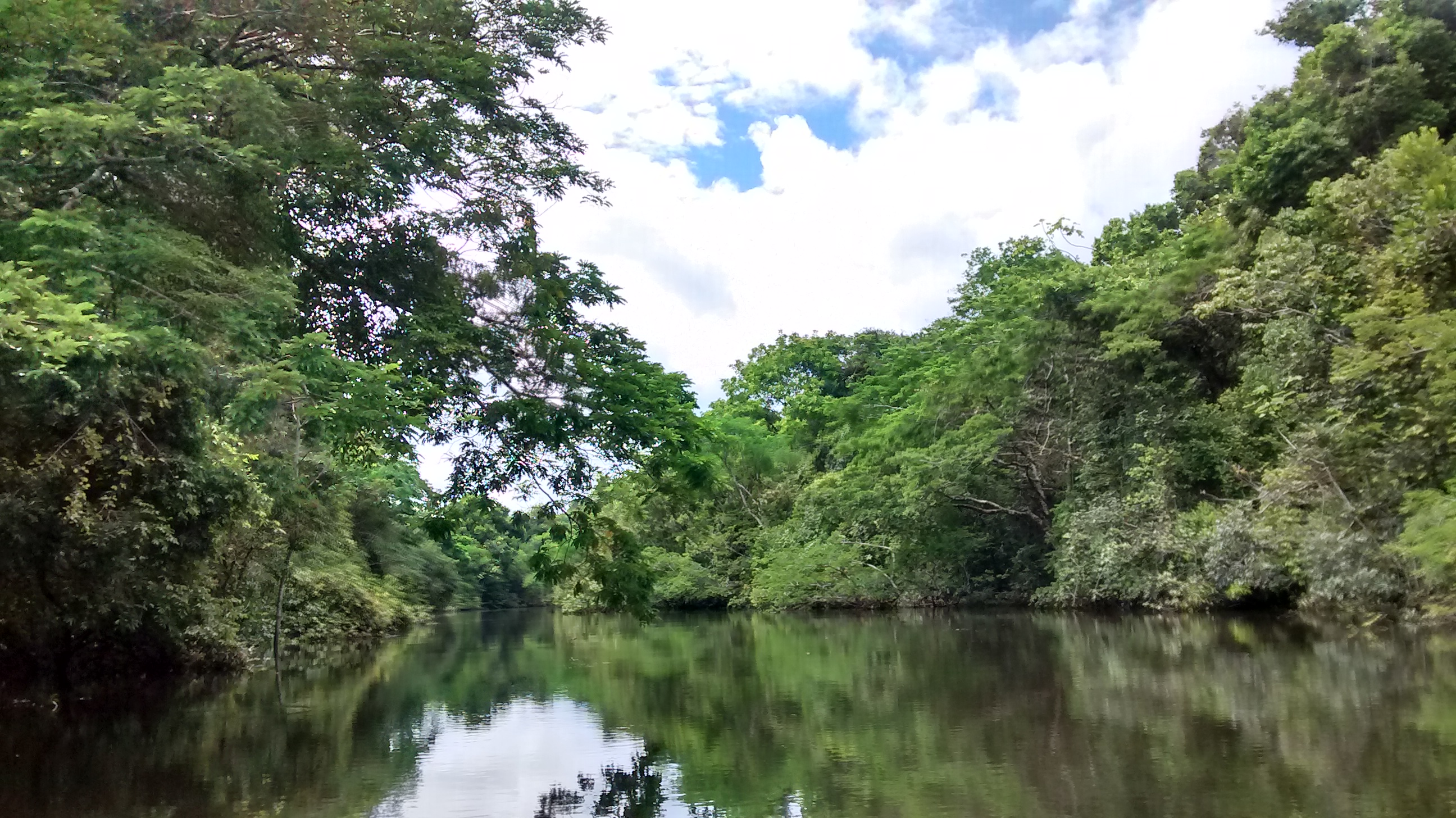 Una mirada a la gobernanza ambiental en las Áreas de Conservación Regional (ACR) de Loreto