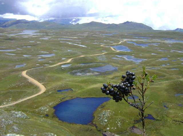 Agua y biodiversidad en Cajamarca