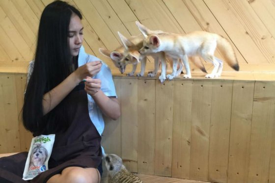 Tomar café entre animales exóticos es la última atracción en Tailandia