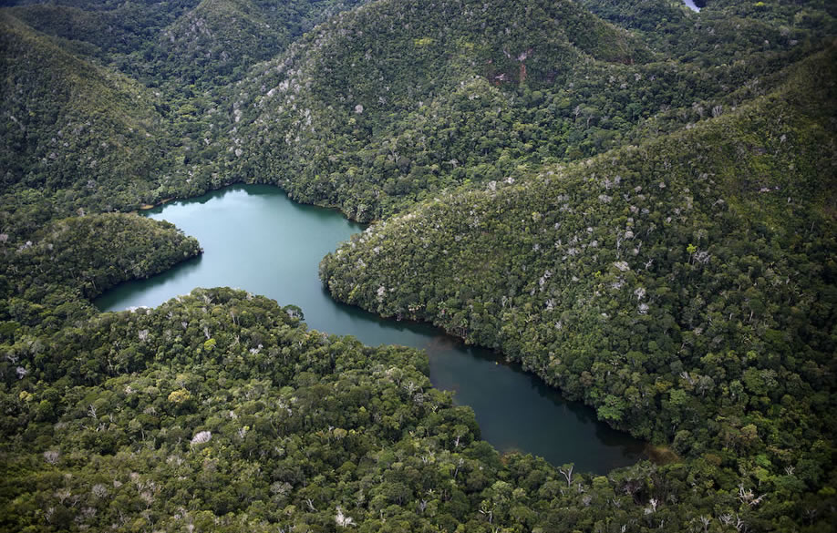 Cinco razones para establecer el Parque Nacional Sierra del Divisor