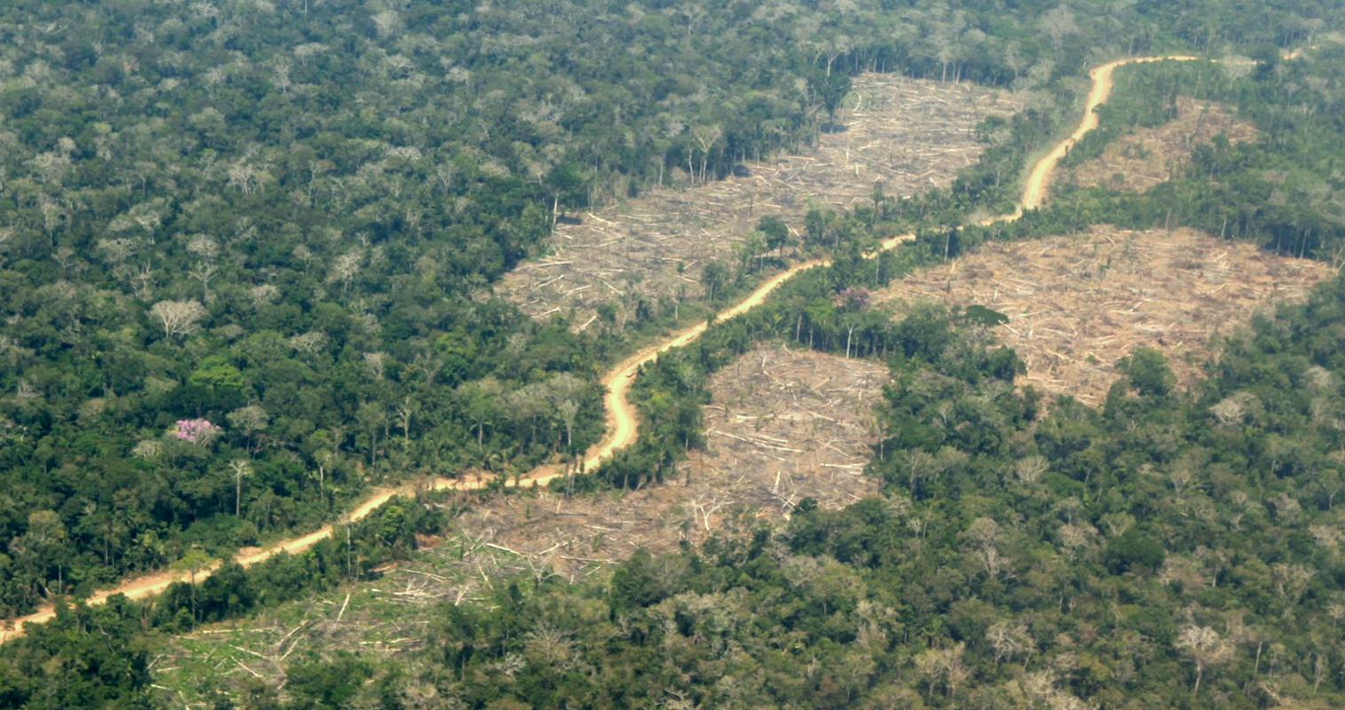 Post Fotografías Aéreas Revelan Tala Ilegal Desenfrenada De Los Bosques Amazónicos Del Perú 6208