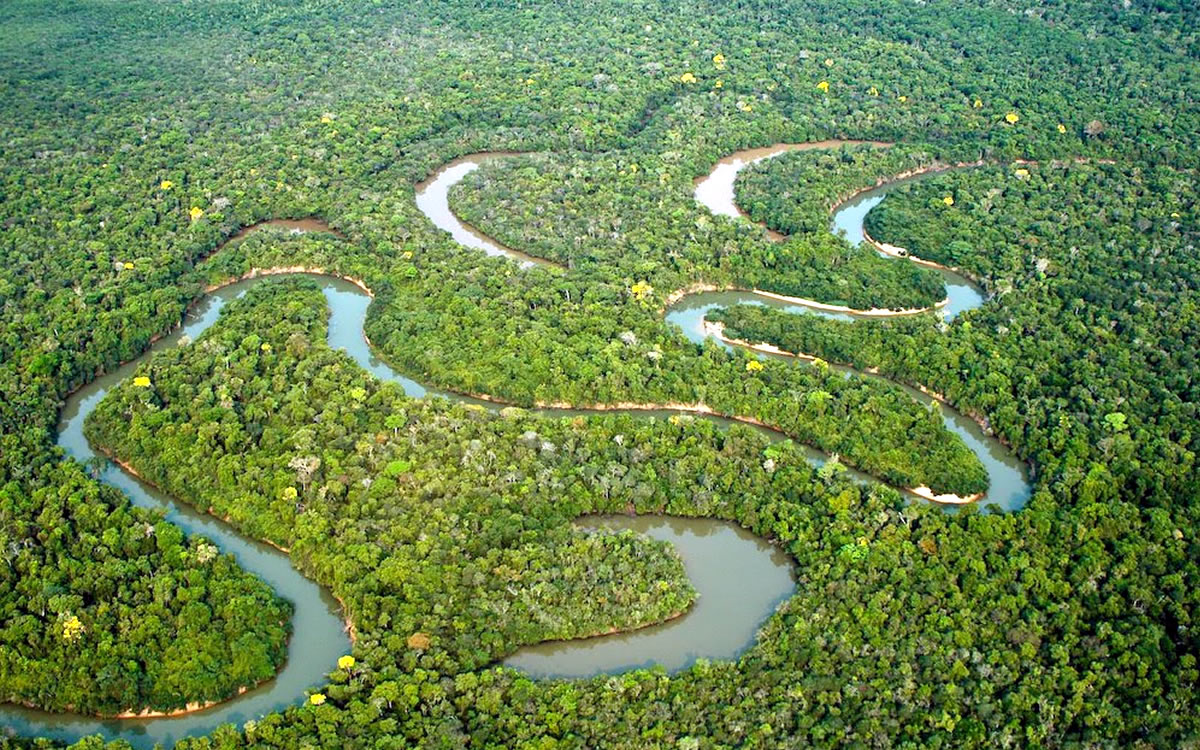 Alerta roja en el Amazonas