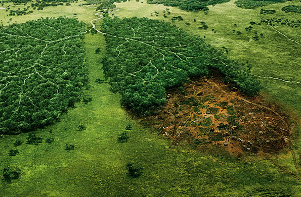 Cambio climático causado por el hombre empezó antes de Revolución Industrial