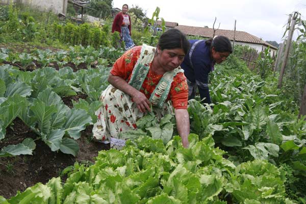 “Las mujeres y su rol en el manejo de recursos”