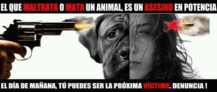 ¡¿Y los derechos de los animales dónde están?!