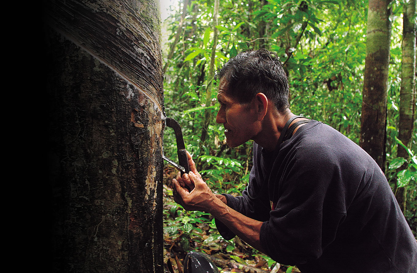 “¿Puede el Perú convencer al mundo de que se toma en serio la protección de sus bosques?"