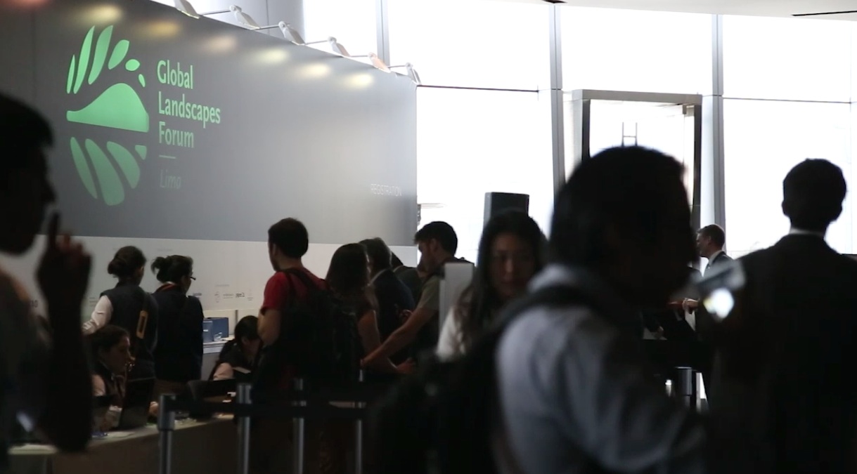 [VIDEO] COP20: “Las negociaciones sobre el tema de bosques han avanzado muy poco”