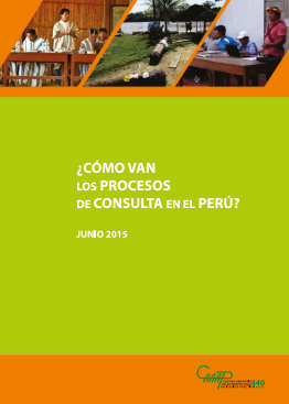 ¿Cómo van los procesos de consulta en el Perú?