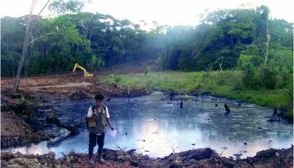 Pluspetrol: Sorprendentes hallazgos en la comunidad de Pampa Hermosa