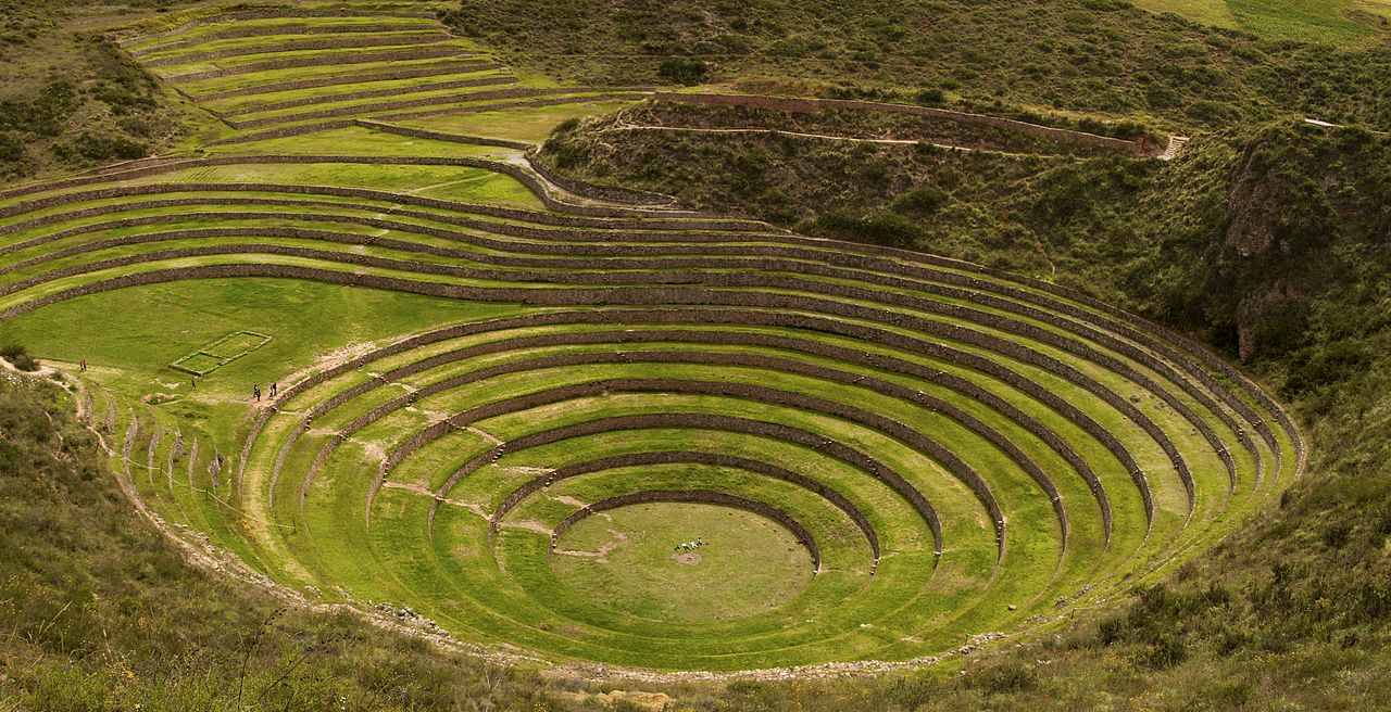 Perú: transgénicos versus orgánicos