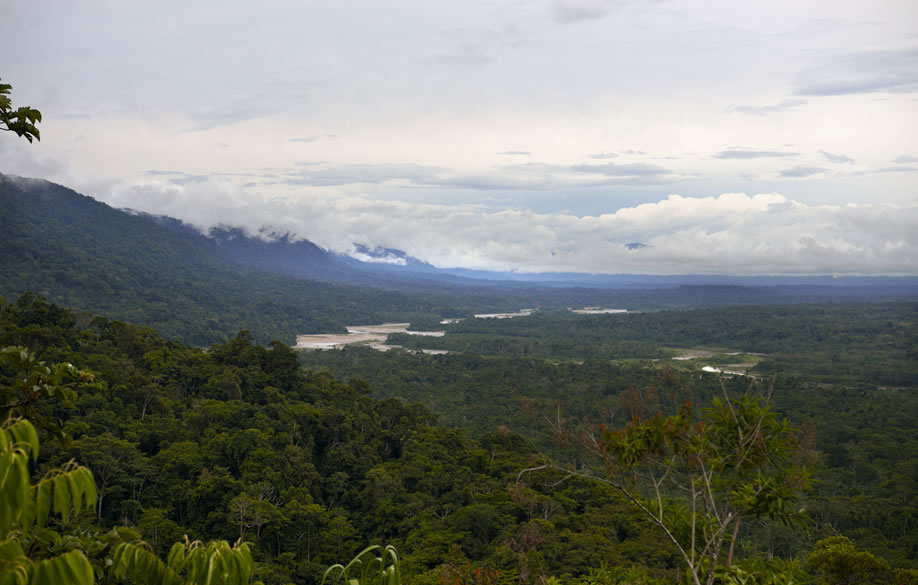 Estudio sobre la Amazonía señala que para el 2050 la deforestación podría reducir las lluvias hasta en un 21%