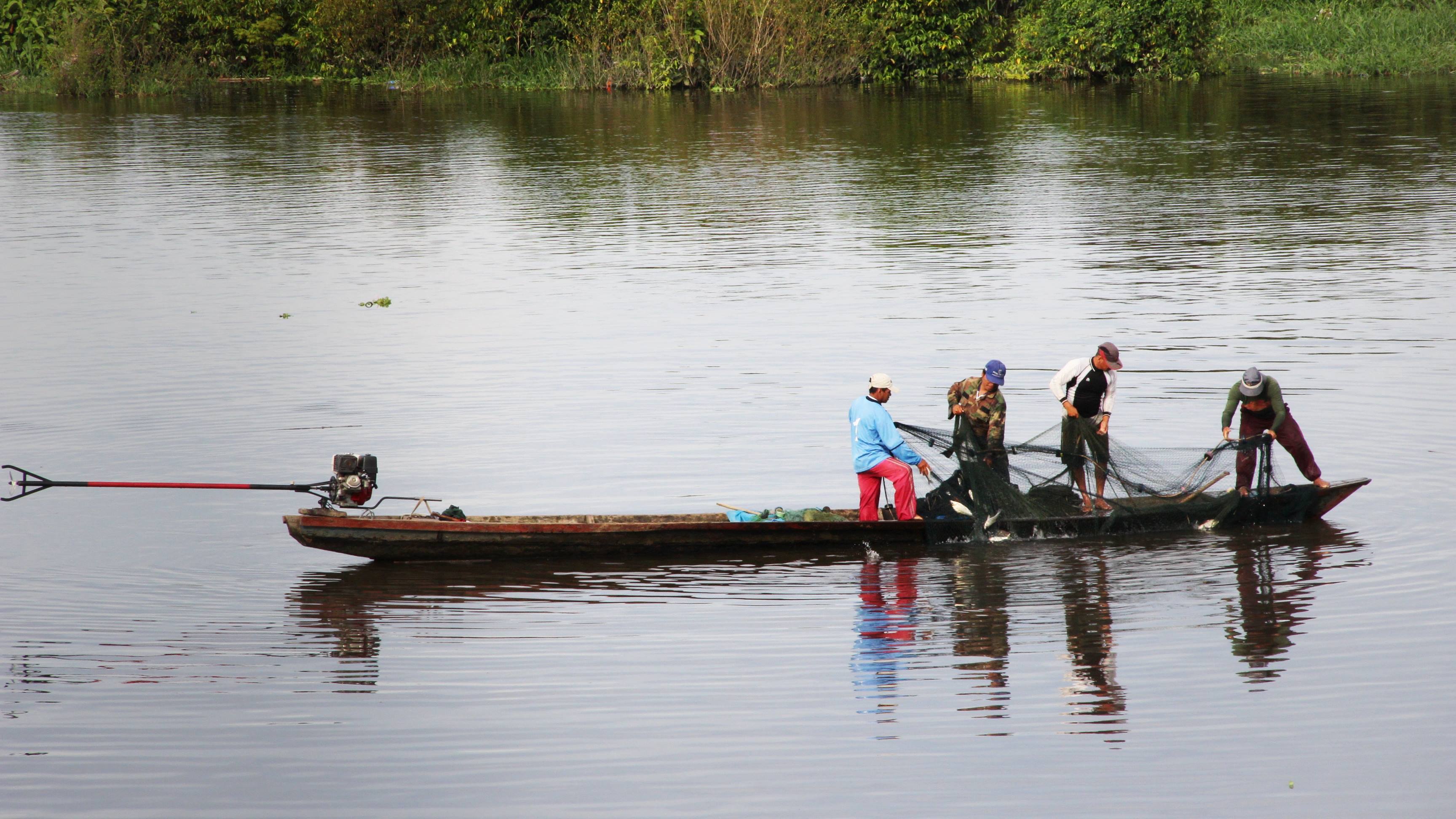 Loreto: informe revela que peces de laguna Moronacocha no son aptos para consumo humano