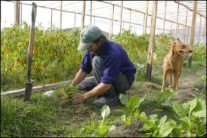 Solo dos de cada cien trabajadores son formales en las zonas rurales