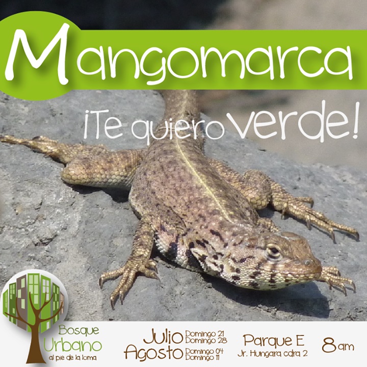 28 de julio, 4 y 11 de agosto: participa en las jornadas de arborización en Mangomarca