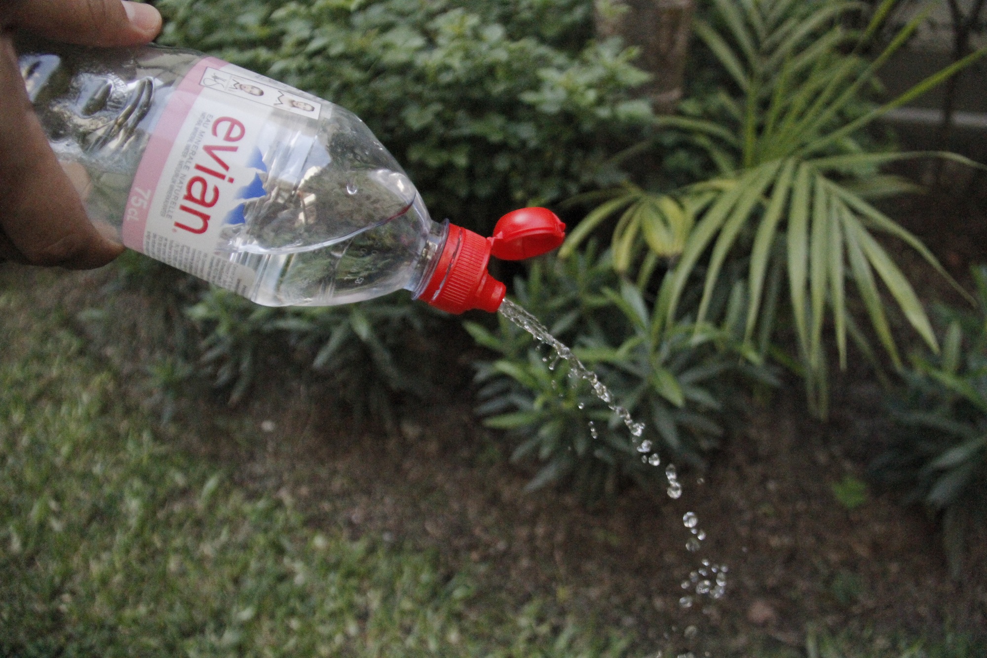 Candidato a la alcaldía de San Isidro propone regar parques y jardines con agua Evian