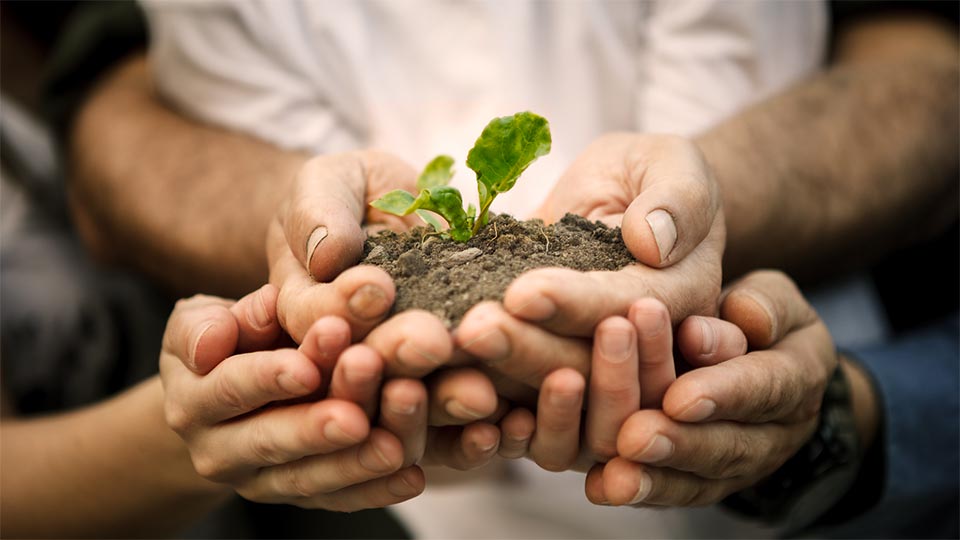 Día Mundial de la Educación Ambiental