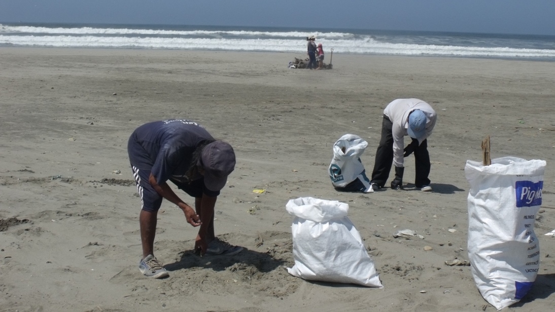 Limpian playa Niño del Milagro, de Ciudad Eten