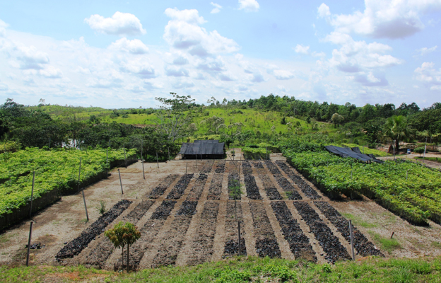 Noticia: Natura Cosméticos adquiere bonos de carbono de la empresa Bosques  Amazónicos