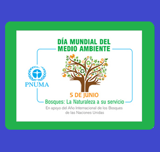 Día nacional de elecciones, Día mundial del medio ambiente