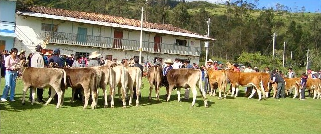 Resultado de imagen para agropecuaria cajamarca