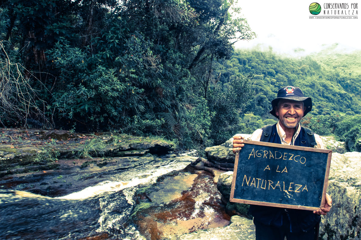 ¿Sabías que puedes ayudar a reforestar la Amazonía adoptando un árbol?